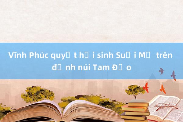 Vĩnh Phúc quyết hồi sinh Suối Mơ trên đỉnh núi Tam Đảo