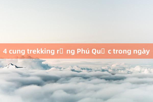 4 cung trekking rừng Phú Quốc trong ngày