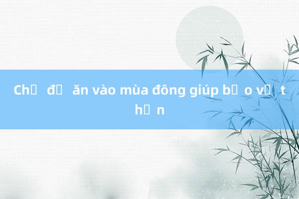 Chế độ ăn vào mùa đông giúp bảo vệ thận