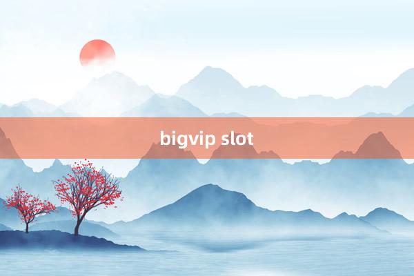 bigvip slot