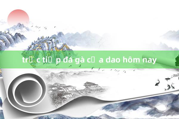 trực tiếp đá gà cựa dao hôm nay