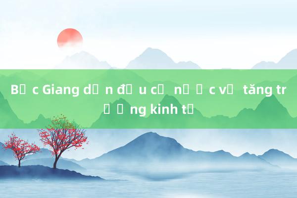 Bắc Giang dẫn đầu cả nước về tăng trưởng kinh tế