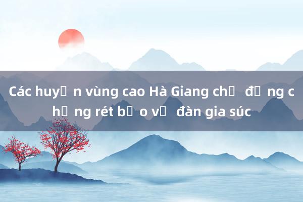 Các huyện vùng cao Hà Giang chủ động chống rét bảo vệ đàn gia súc