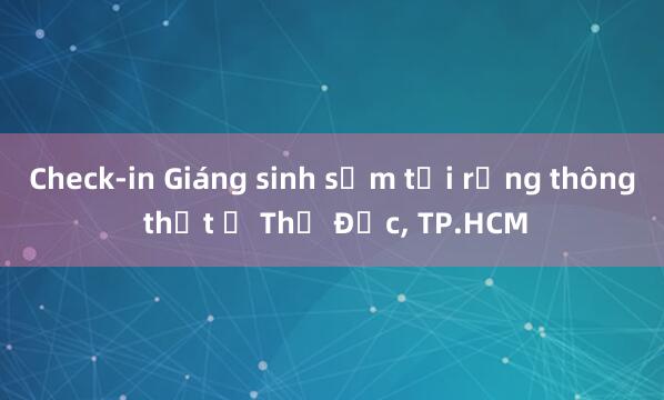 Check-in Giáng sinh sớm tại rừng thông thật ở Thủ Đức， TP.HCM