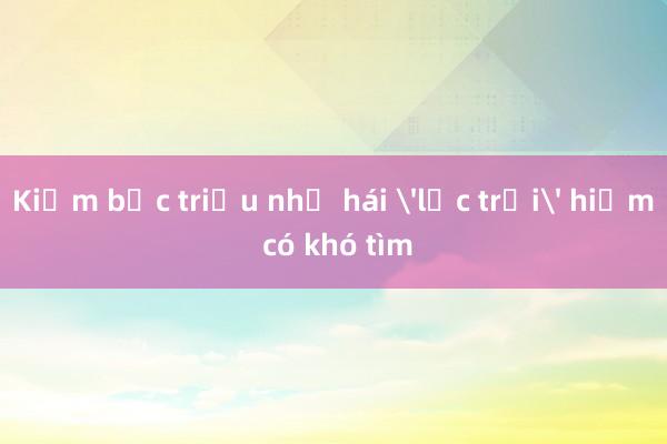 Kiếm bạc triệu nhờ hái 'lộc trời' hiếm có khó tìm