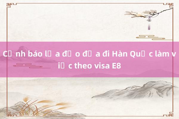 Cảnh báo lừa đảo đưa đi Hàn Quốc làm việc theo visa E8