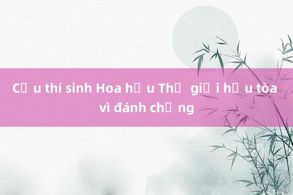 Cựu thí sinh Hoa hậu Thế giới hầu tòa vì đánh chồng