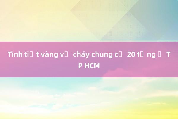 Tình tiết vàng vụ cháy chung cư 20 tầng ở TP HCM